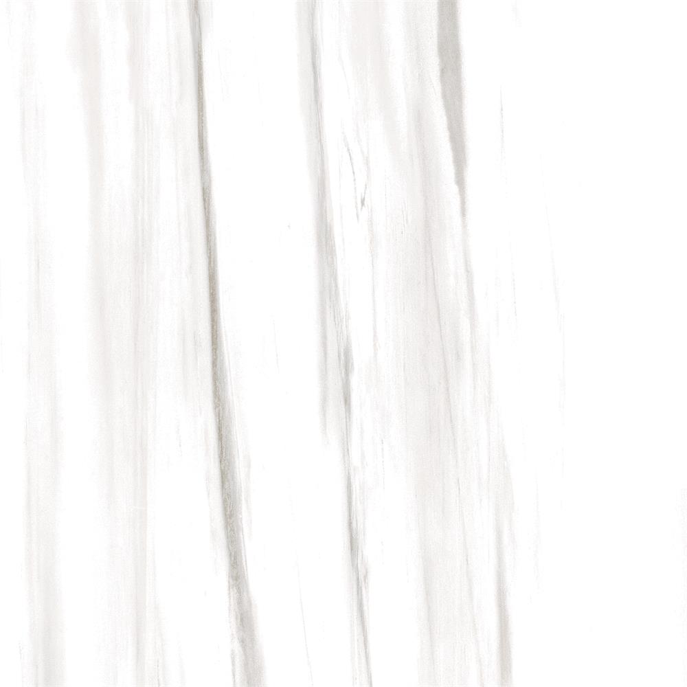 NGX6FRT08 babyface        NGX6FPT08T Polished