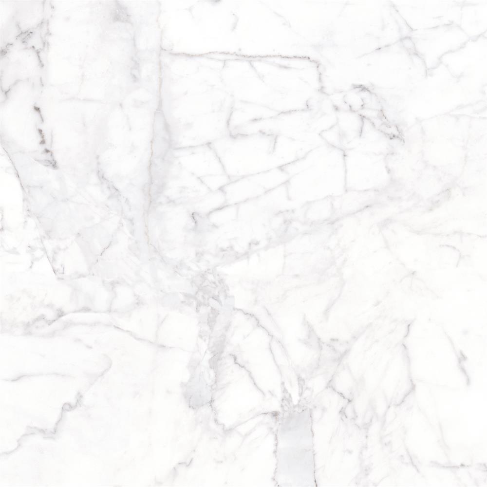 NGX6FRT09 babyface        NGX6FPT09T Polished