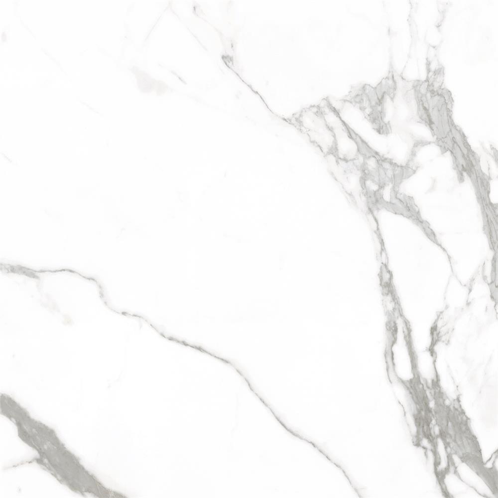 NGX6FRT10 babyface NGX6FPT10T Polished